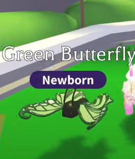 Green Butterfly FR | Adopt Me | Fast Delivery