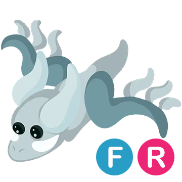 Hallowen White Ghost Dragon FR | Adopt Me | Fast Delivery