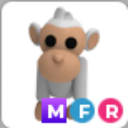MFR Albino Monkey