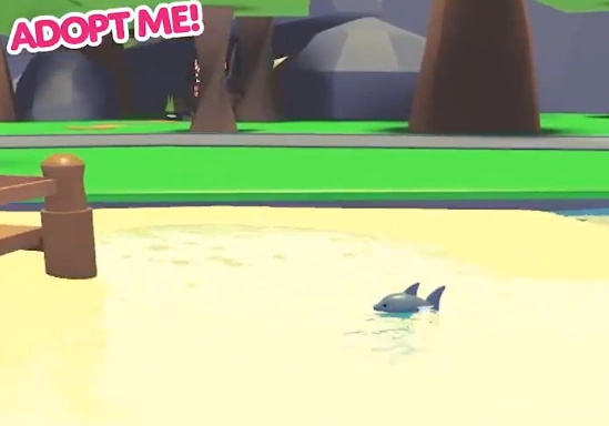 Shark FR | Adopt Me | Fast Delivery