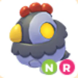 NR Velocirooster