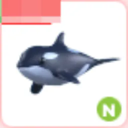 Neon Orca