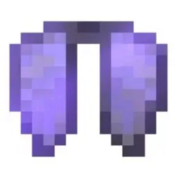Elytra