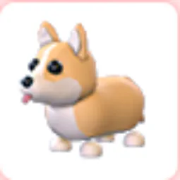 Corgi