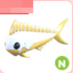 Neon Gold Mahi Mahi