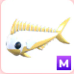 Mega Gold Mahi Mahi