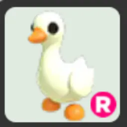 R Goose