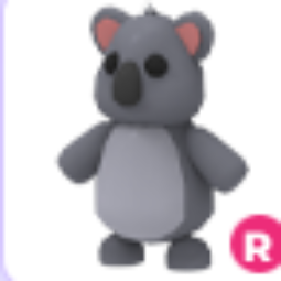 Koala R