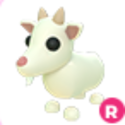Goat R