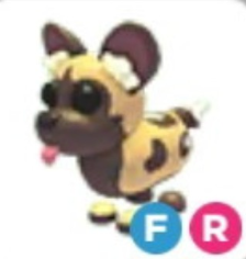 FR African Wild Dog (Fast Delivery)- Adopt Me