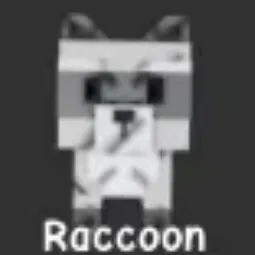 ⭐Raccoon⭐
