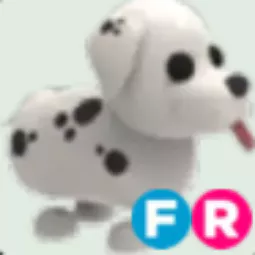 FR Dalmatian
