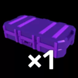 1X【 Skin Case 3 249R