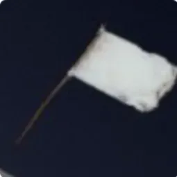 White Flag X1