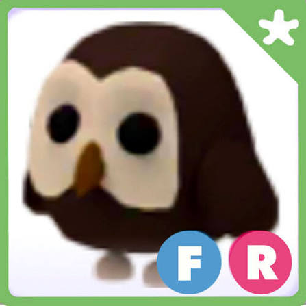 Adopt Me > Owl > FR