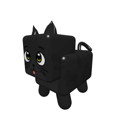 Black Cat Pet