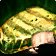 WoW TBC - US REALMS - Grilled Mudfish - Fast Delivery