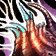 WoW TBC - US REALMS - Netherbloom - Fast Delivery