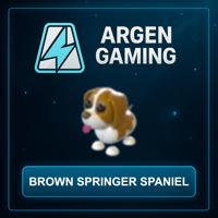 Adopt Me Brown Springer Spaniel
