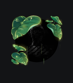 Rainy Canopy [[Avatar Decoration]] 🔥Cheap Decoration $4.99