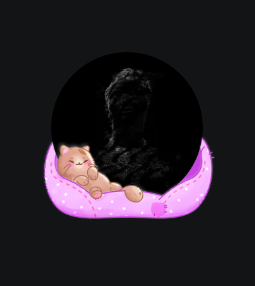 Cat Nap [[Avatar Decoration]] 🔥Cheap Decoration $4.99