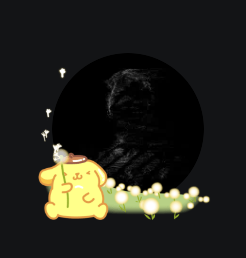 Pompompurin avatar decoration | 🔥Cheap Decoration $8.99