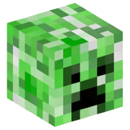 ✨Creeper Head✨