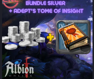 Bundle 10 Million Silver & 500 Adept's Tomes of Insight (T4)