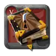 10 Expert Animal Skinner Tome (T5) - Fast & Safe - Americas