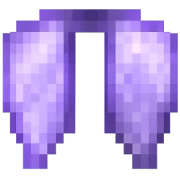Elytra DonutSmp 🪽