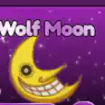 Anime Card Clash - Wolf Moon [119R]