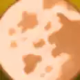 ✅✅Harvest Moon✅✅39R