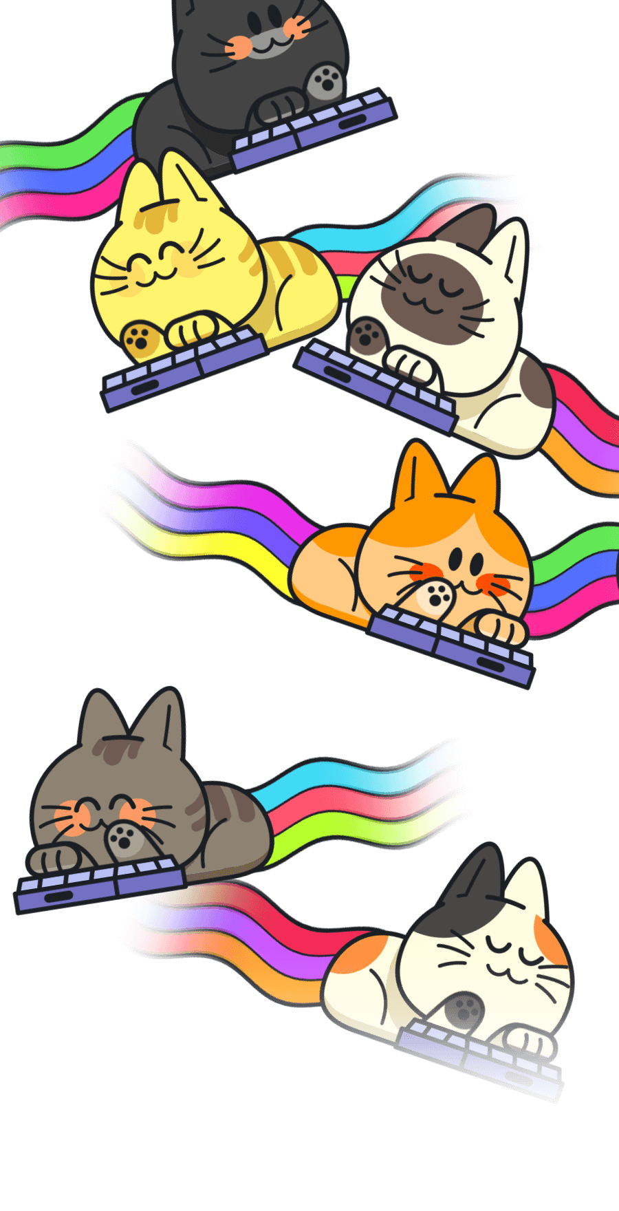 Keyboard Cats profile effect | 🔥Cheap Decoration $4.99