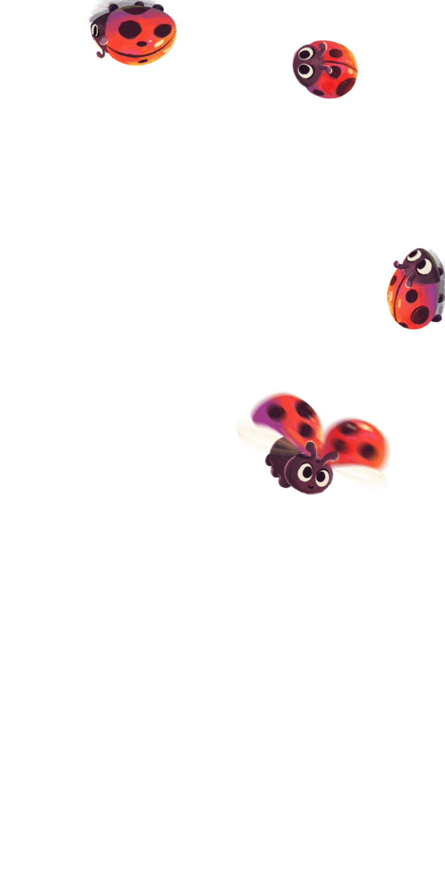 Ladybird Luau profile effect | 🔥Cheap Decoration $4.99