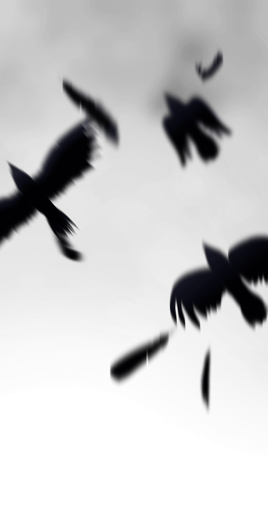 Nevermore (Midnight) profile effect | 🔥Cheap Decoration $4.99
