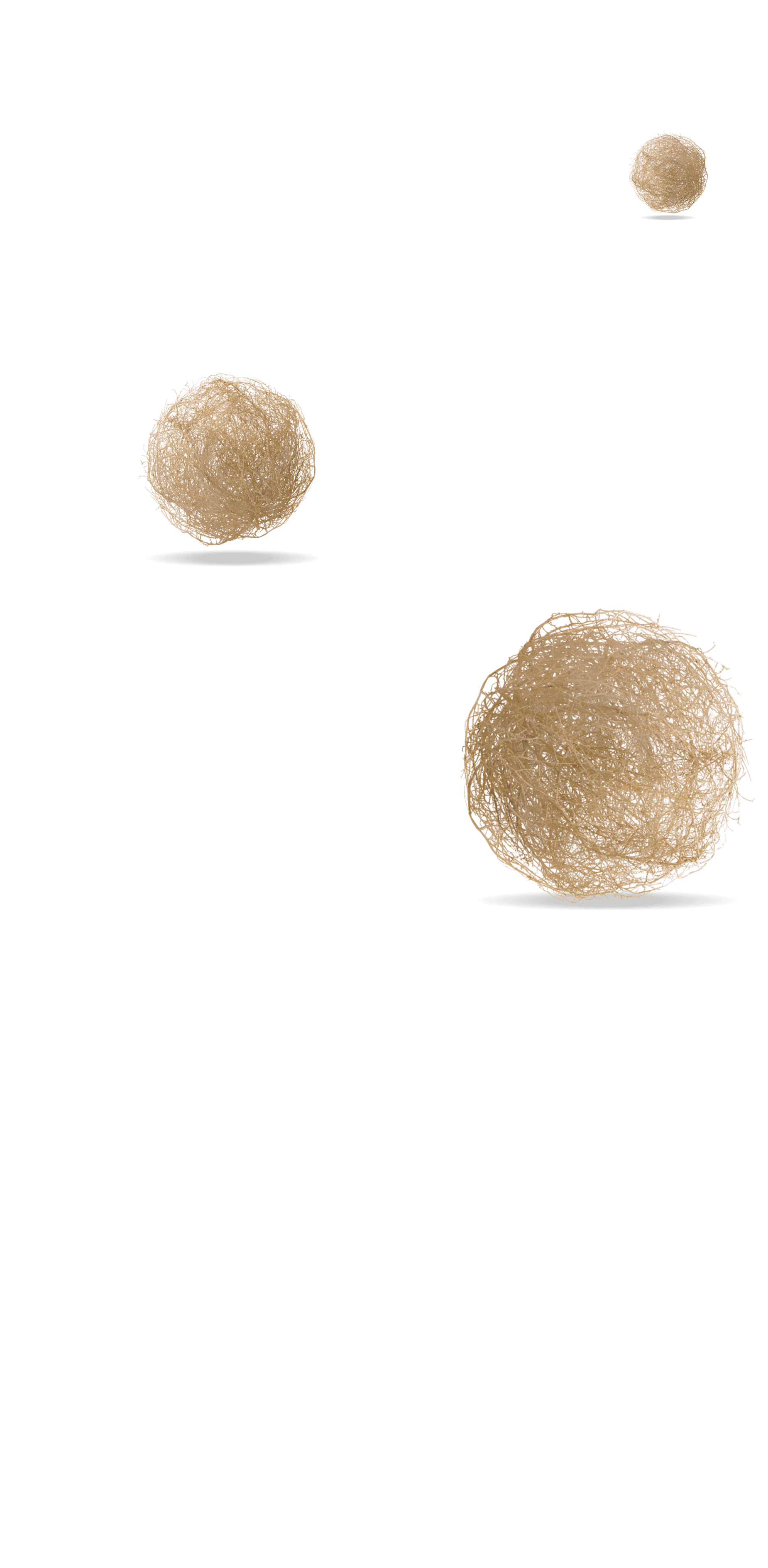 Tumbleweeds profile effect | 🔥Cheap Decoration $4.99