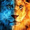 YellowLion