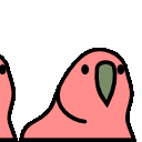 Parrot