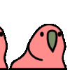 Parrot