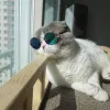 JoisBoi