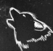 BLACK-WOLF