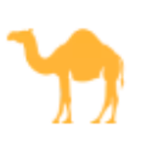 CamelGP
