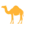 CamelGP
