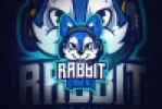 Rabbit-cap_1