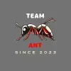 Ant Team