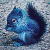 Bluesquirrel