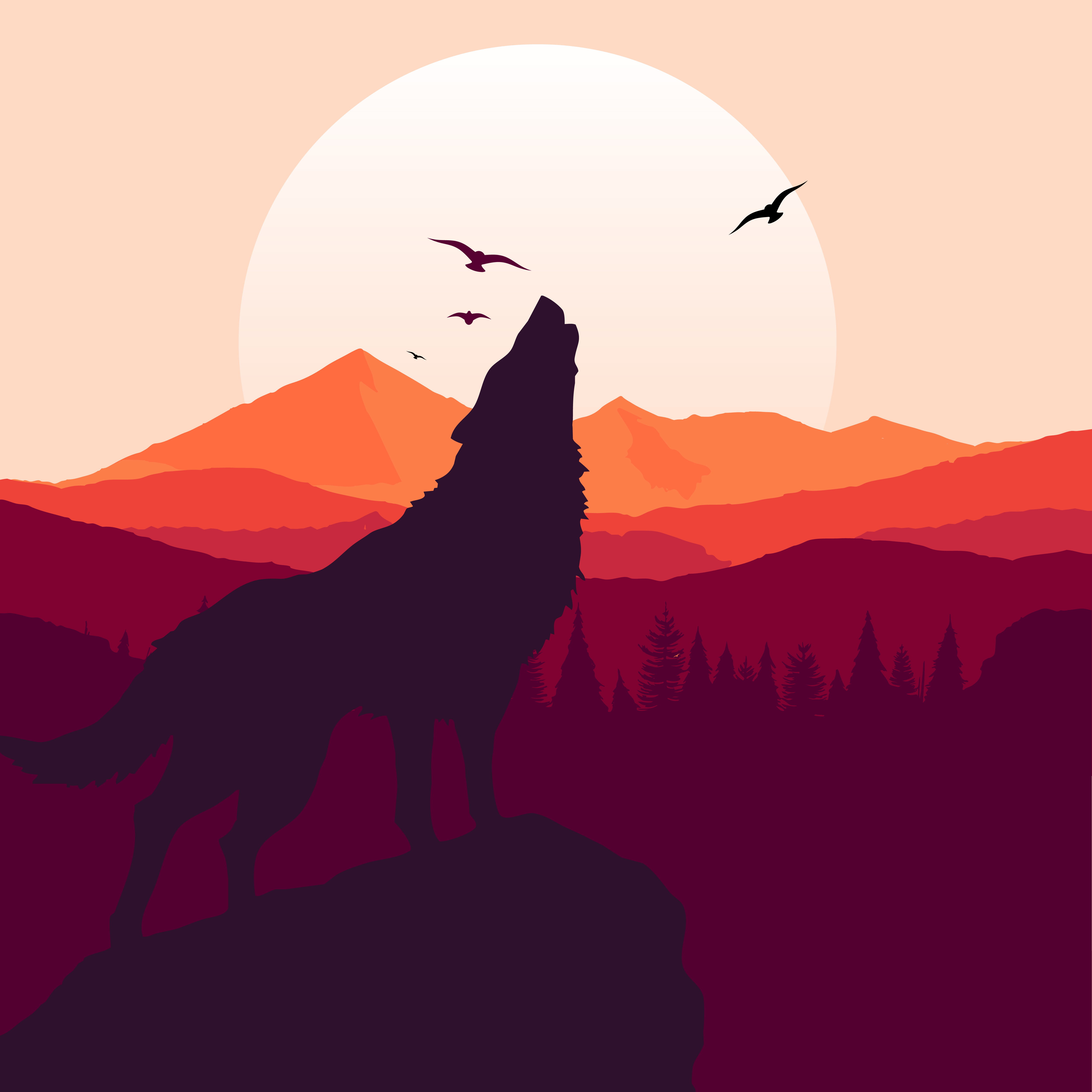 AmirFeral