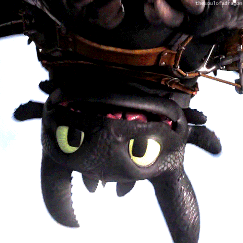 Night Fury