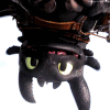 Night Fury